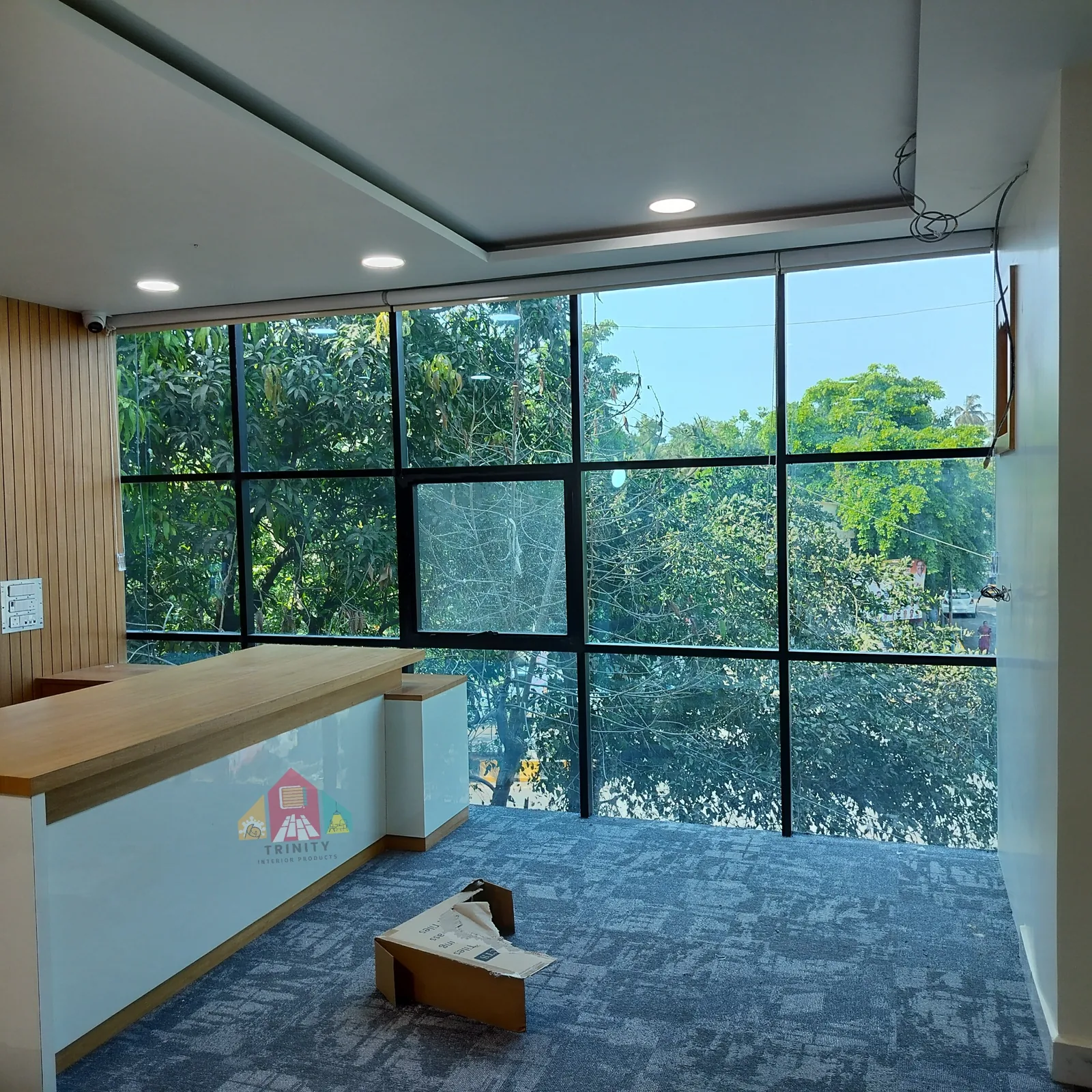 Large Window Roller Blind - Trinity Interior Products